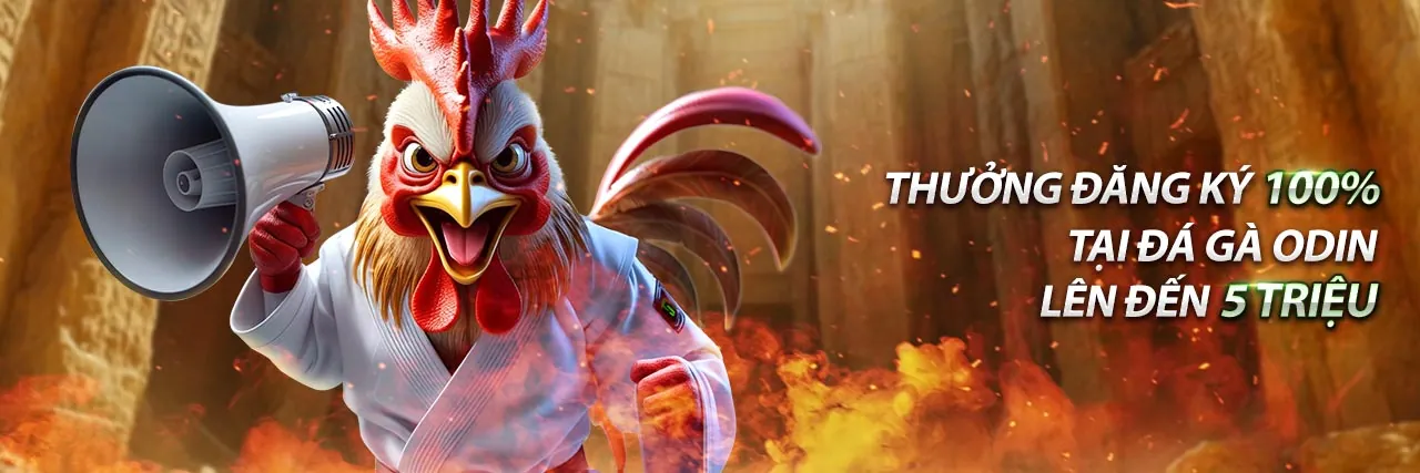 vn6 app 2026 Chính Thức Bắn Cá Đổi Thưởng Ưu Đãi Độc Quyền